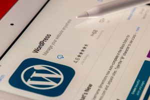 Read more about the article WordPress